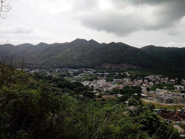 IMG_20130825_140305.jpg