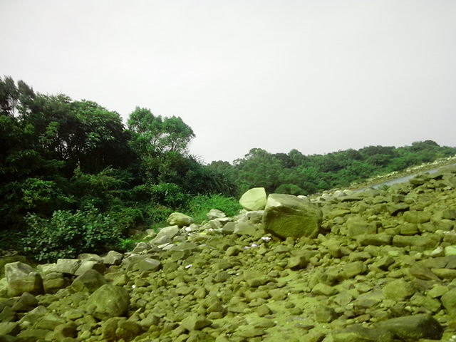 IMG_20130901_145624.jpg