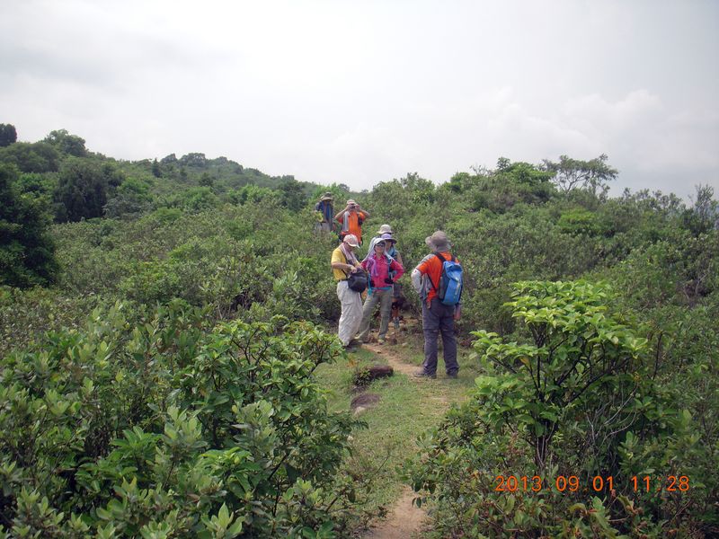 DSCN0170.jpg