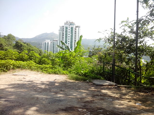 IMG_20130908_100748.jpg