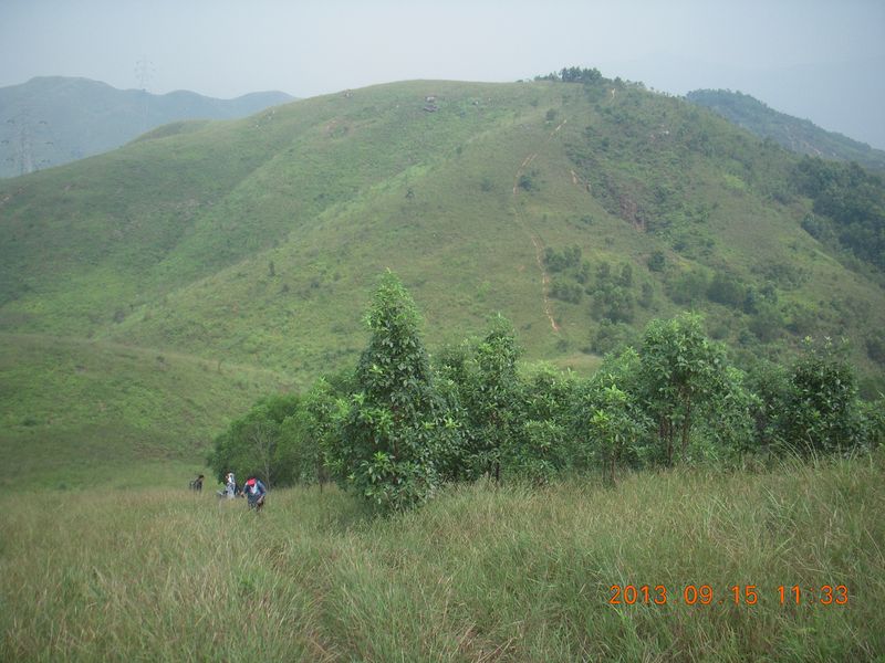 DSCN0266.jpg