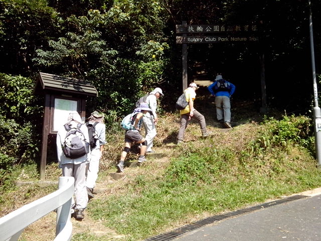 IMG_20131006_102320.jpg