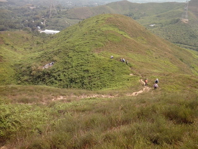 IMG_20131027_114551.jpg