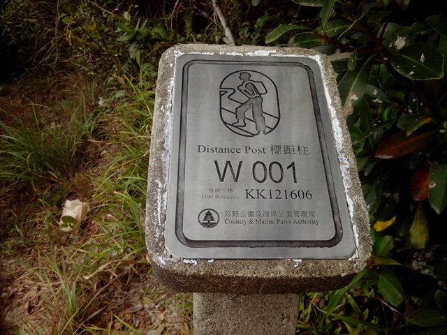 IMG_20131103_104625.jpg