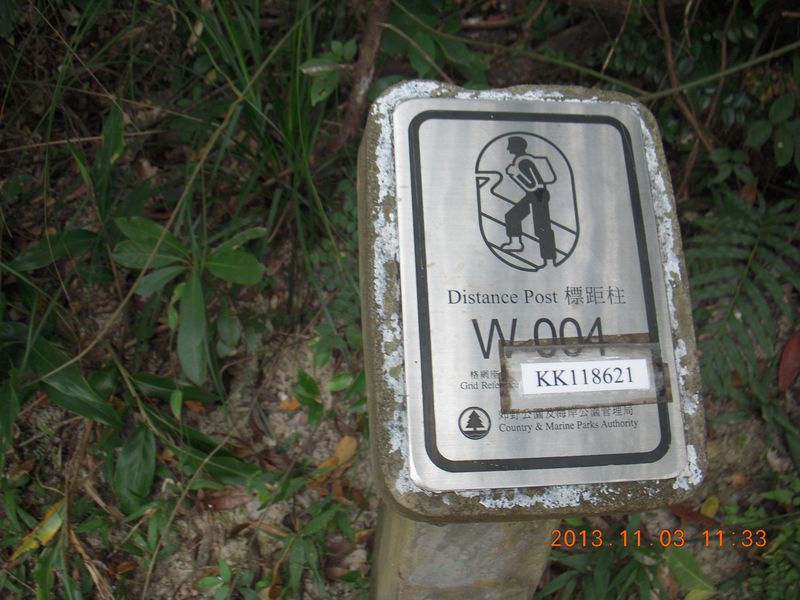 DSCN0871.jpg