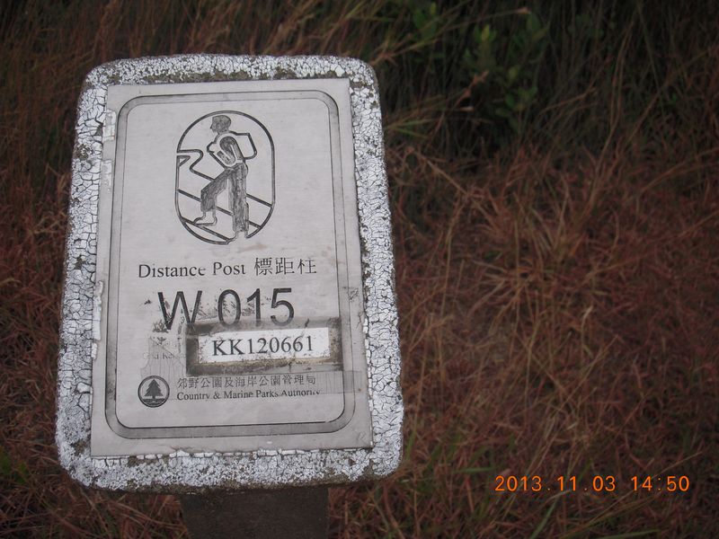 DSCN0908.jpg