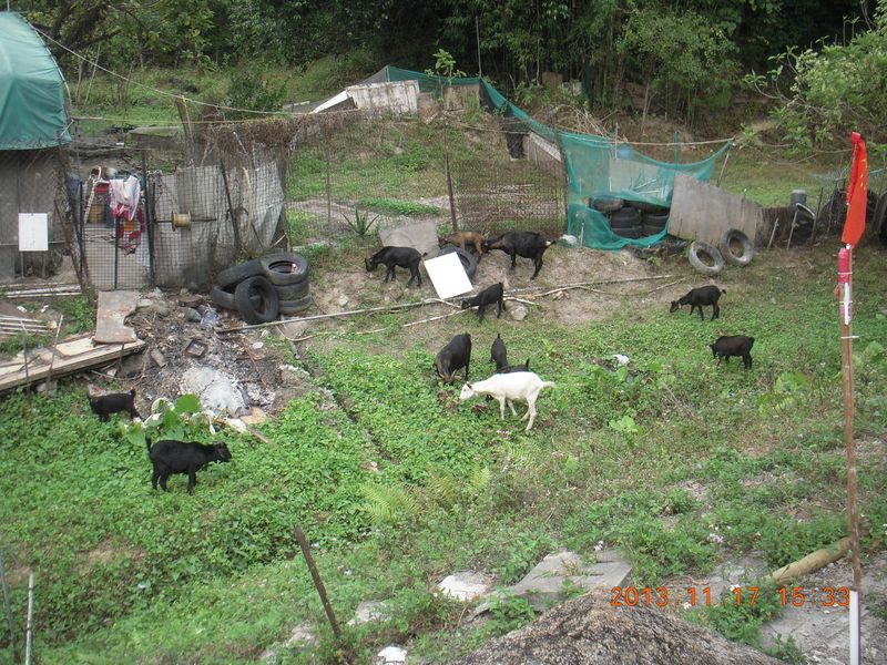 DSCN0934.jpg