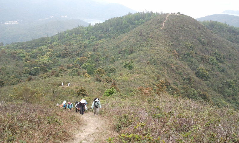 2014-03-16 11.13.54.jpg