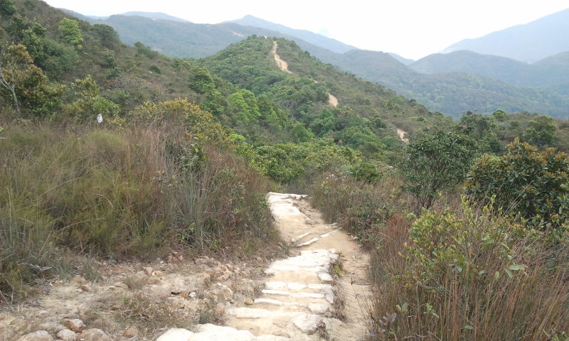 2014-03-16 12.33.21.jpg