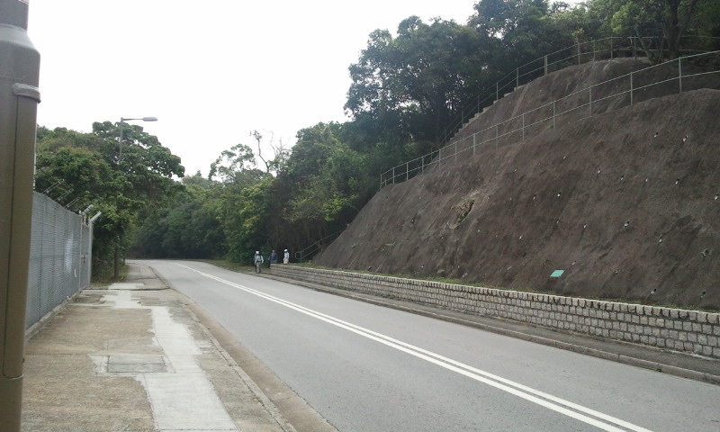 2014-03-16 14.19.23.jpg