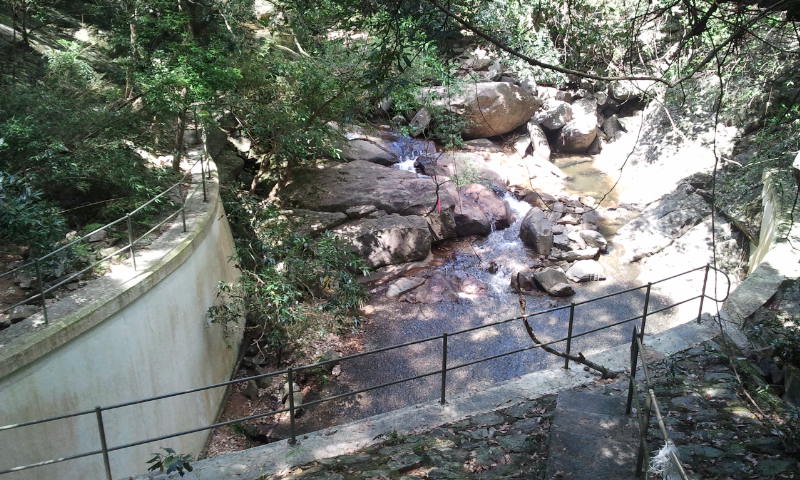 2014-06-01 10.30.44.jpg