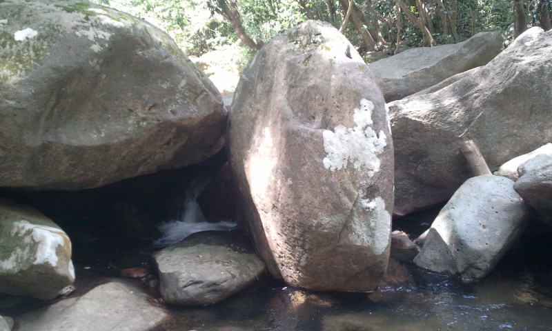 2014-06-01 10.32.26.jpg