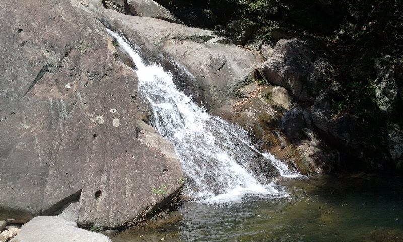 2014-06-01 10.47.10.jpg