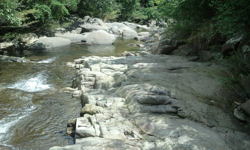 2014-06-01 10.41.38.jpg