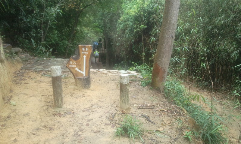 2014-06-15 11.55.45.jpg