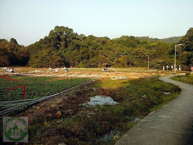 006599.jpg