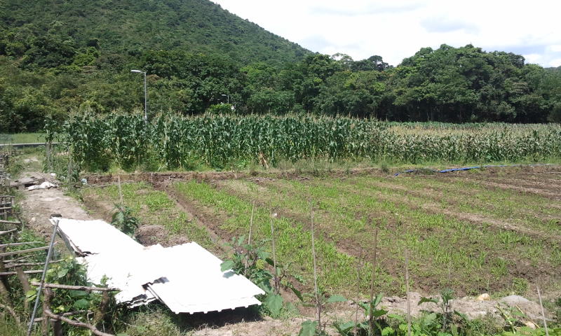 2014-06-29 10.26.20.jpg