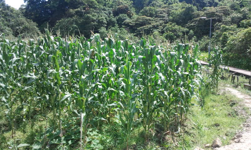 2014-06-29 10.27.12.jpg