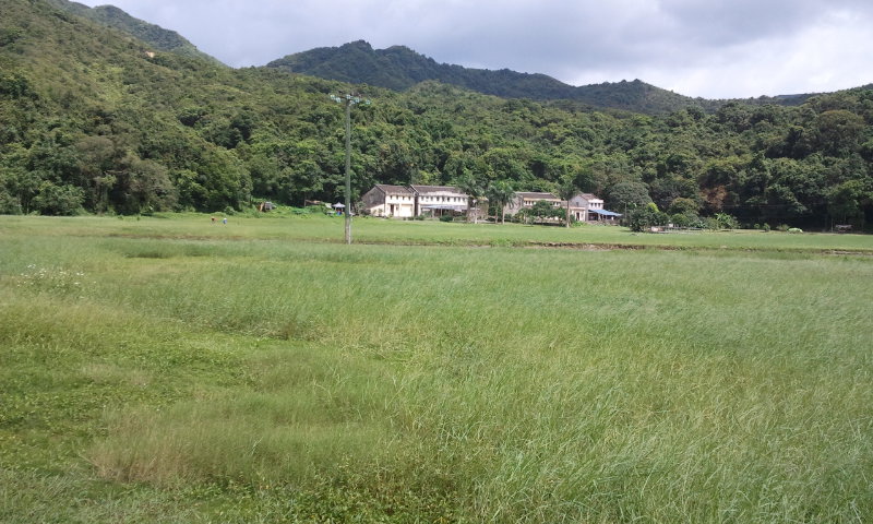 2014-06-29 14.38.21.jpg