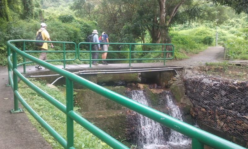 2014-07-13 10.13.54.jpg