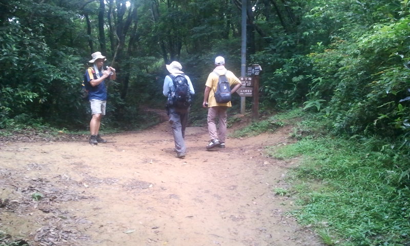 2014-07-13 10.36.41.jpg