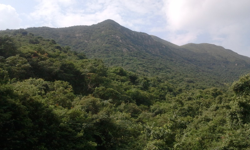 2014-08-03 15.56.41.jpg