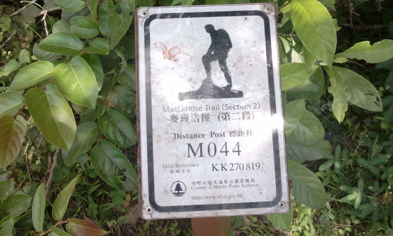 2014-08-17 11.08.21.jpg