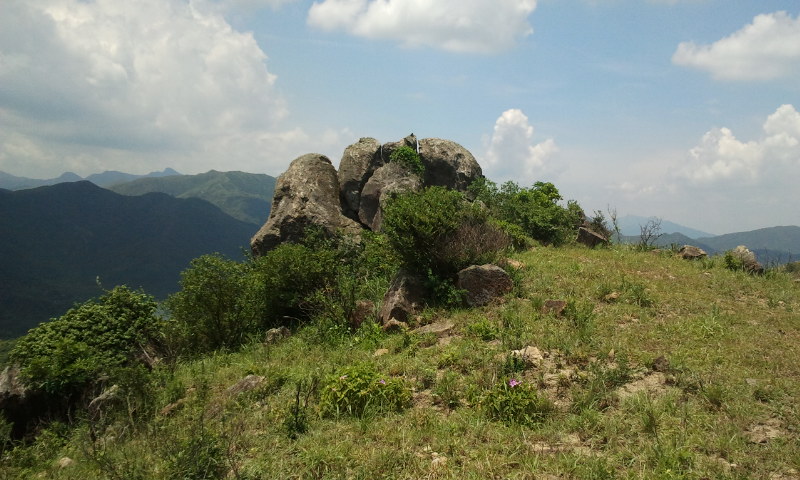 2014-08-17 12.08.10.jpg