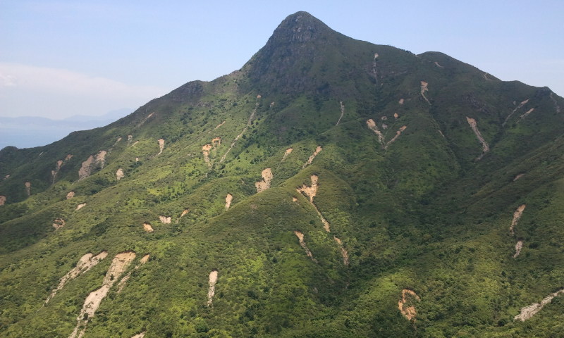 2014-08-17 12.16.20.jpg