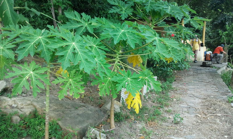 2014-08-31 11.35.39.jpg