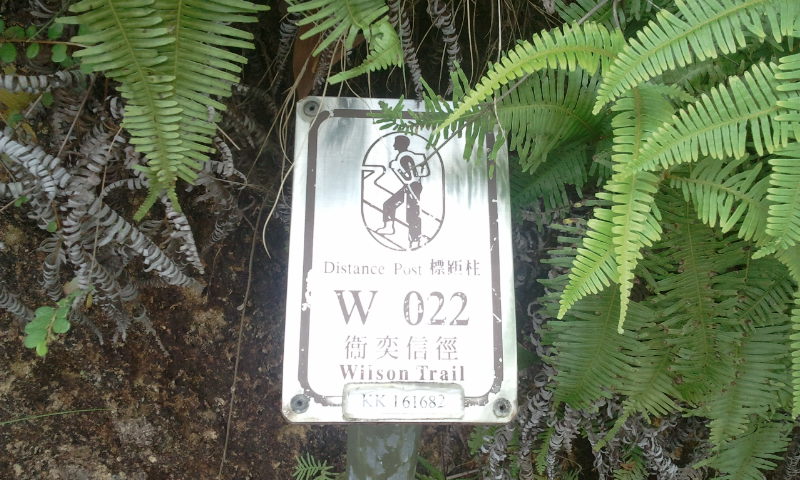 2014-09-07 09.57.21.jpg