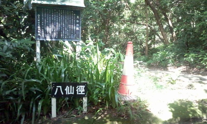 2014-09-09 10.44.21.jpg