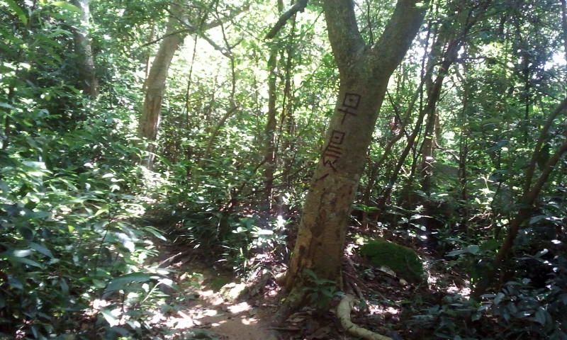 2014-09-09 10.48.48.jpg