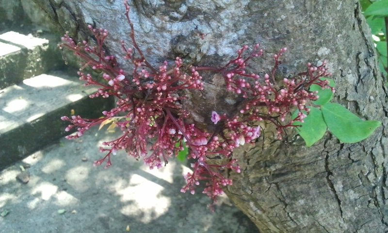 2014-09-09 10.55.28.jpg