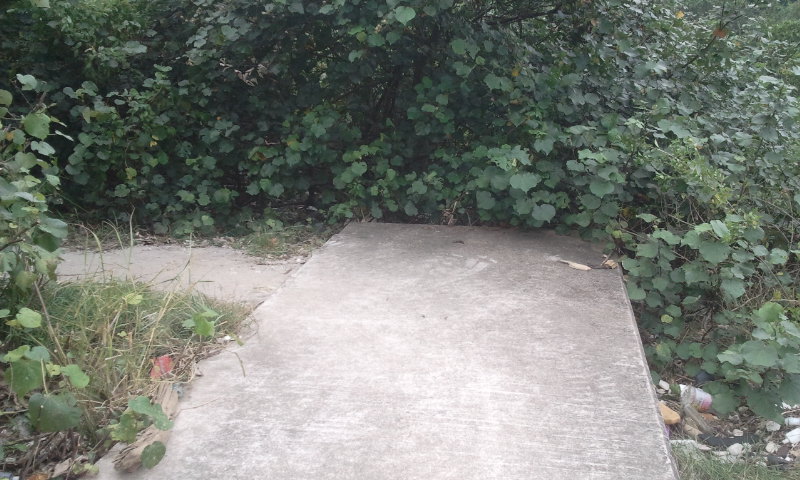 2014-09-21 14.30.24.jpg