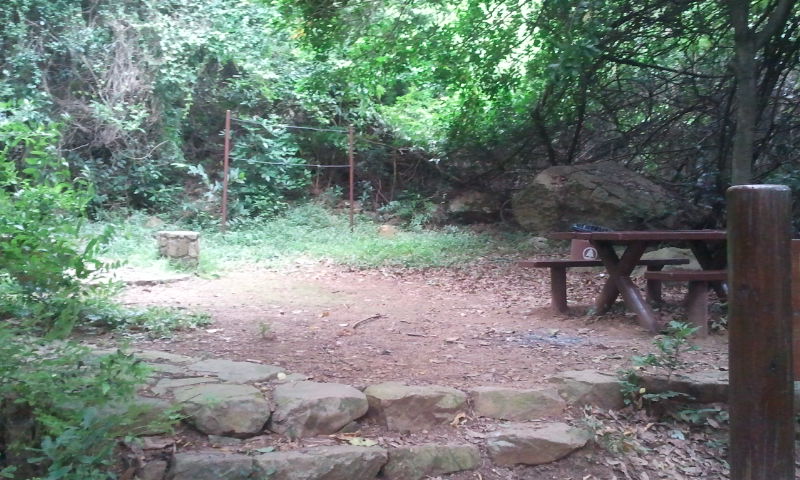 2014-09-21 14.56.54.jpg