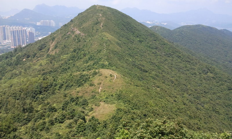 2014-09-28 11.55.51.jpg