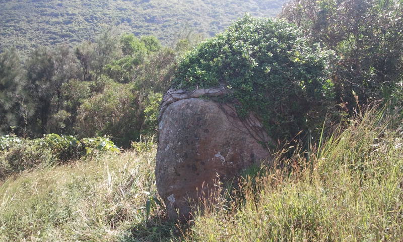 2014-09-28 13.48.58.jpg