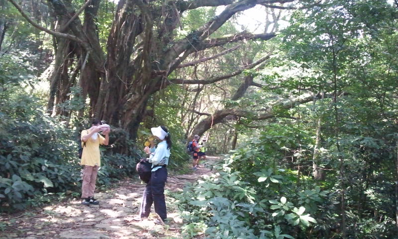 2014-10-05 11.58.30.jpg