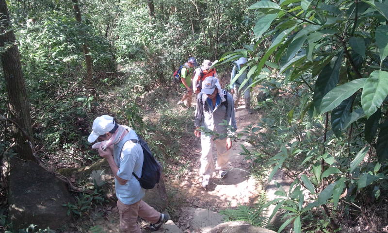 2014-10-19 10.33.46.jpg