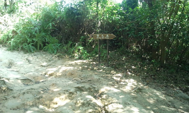 2014-10-19 10.56.23.jpg