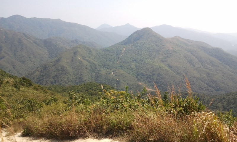 2014-10-19 11.18.14.jpg