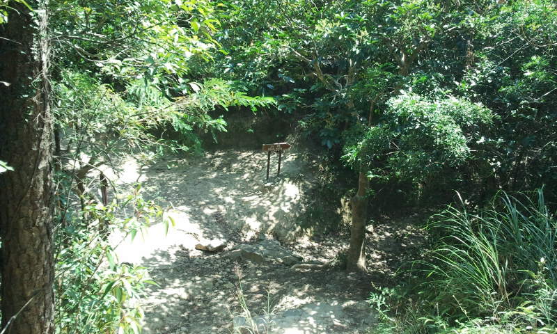 2014-10-19 11.48.01.jpg