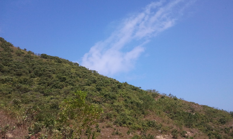 2014-10-19 13.21.59.jpg