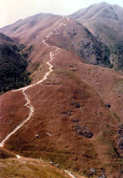 雞冠山.jpg