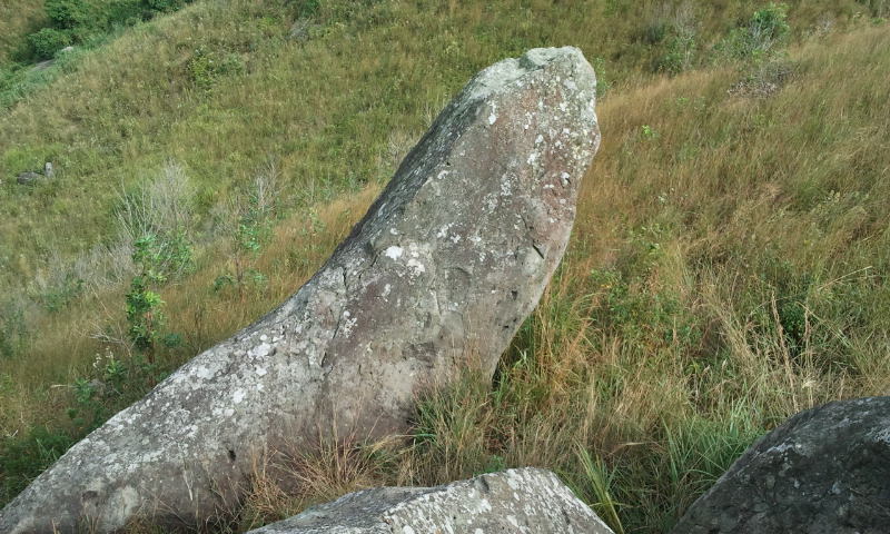 2014-10-26 14.54.09.jpg