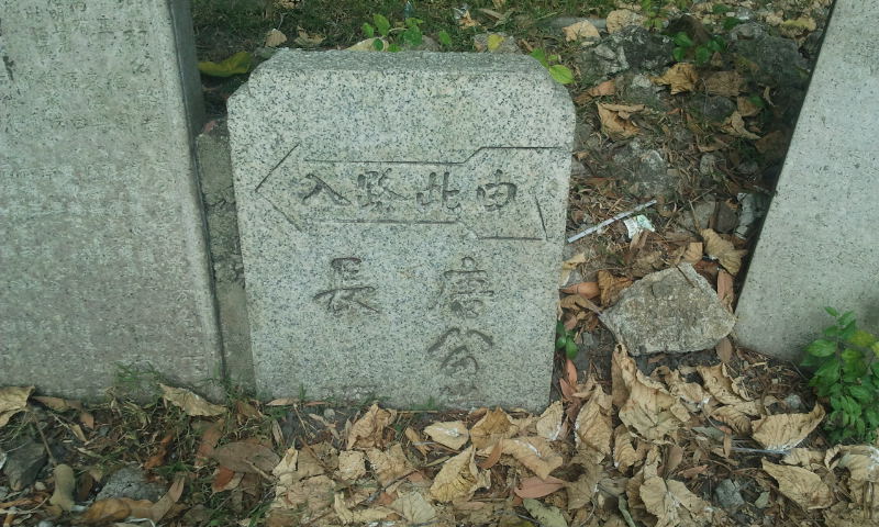 2014-11-02 14.19.54.jpg