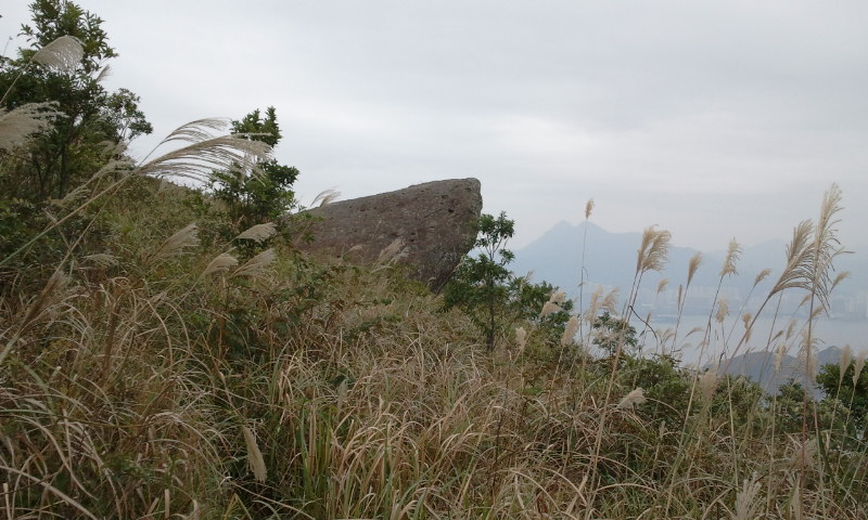2014-12-07 12.33.35.jpg