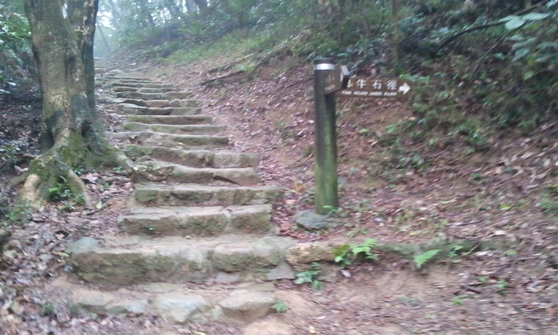 2014-12-28 10.34.49.jpg