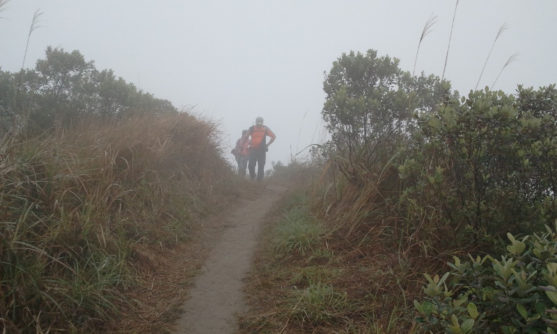 2014-12-28 11.09.30.jpg